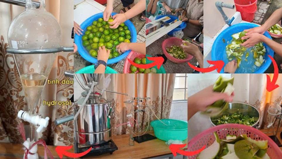 THPT Đạ Huoai đạt 02 giải Ba tại Cuộc thi Sáng tạo Thanh thiếu niên, Nhi đồng tỉnh Lâm Đồng lần thứ 21 – Năm 2025